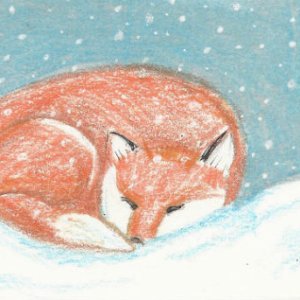 An Earth of Foxes