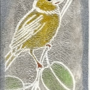 For The Birds