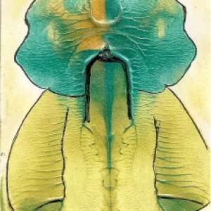 Rorschach Test
