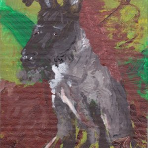Dog of Terrier Descent