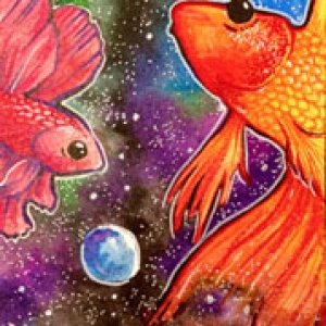 2016 December Monthly Contest First Place