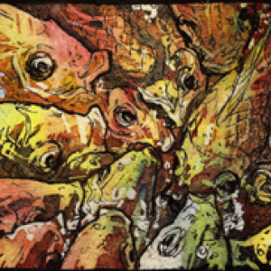 2016 December Monthly Contest Second Place