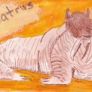 Hybrid Animals Cards