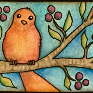 Whimsical Bird ATCs