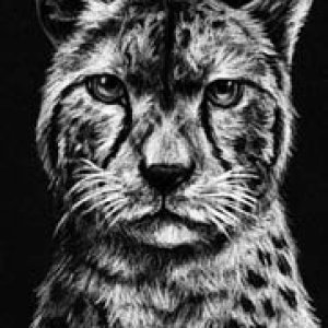 2017 January Monthly Contest 1st Place