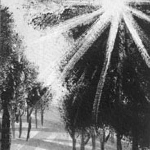 2017 January Monthly Contest2nd Place