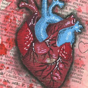 2017 February Monthly ATC Contest -1st Place