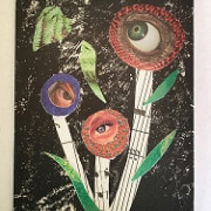 Gardenize 6