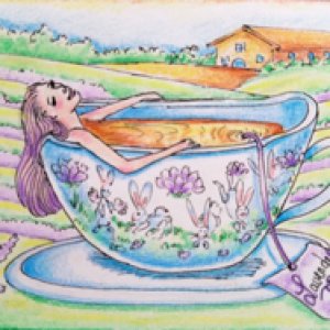 2017 March Monthly ATC Contest- 2nd Place