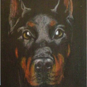 2017 April Monthly Contest Theme: Dogs - 1st Place- Lilly