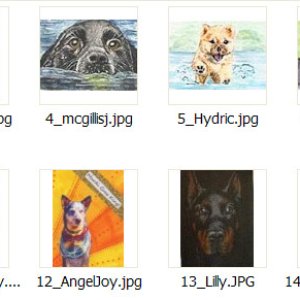 2017 April Monthly ATC Contest Entrants