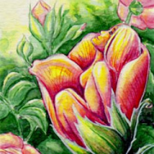 2017 May Monthly ATC Contest - 2nd Place