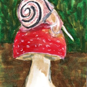 Snail on a Mushroom - May 2017 PAT