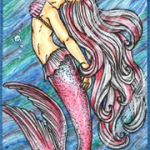 2017 July Monthly ATC Contest - 1st Place