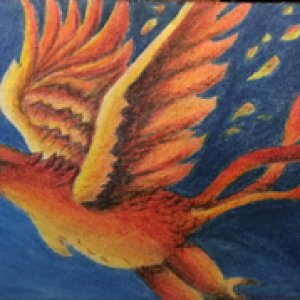 2017 July Monthly ATC Contest - 2nd Place