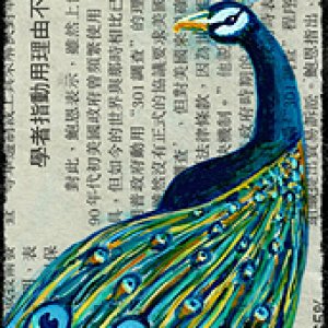 2017 August 1st Place - AmySi