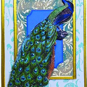 2017 August Contest 2nd Place - DonnaCR