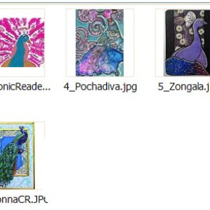 2017 August Contest Entrants