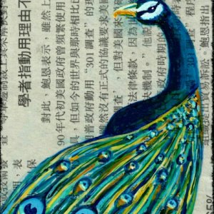 Peacock