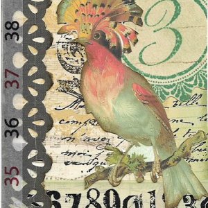 3 Bird