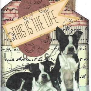 A Dog's Life