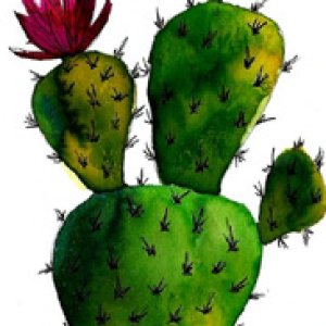 2017 October Monthly Contest 1st  Place