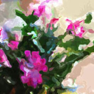 2017 October Monthly Contest 2nd Place