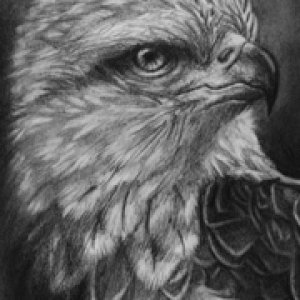 1st Place Winner!  Nov-Dec 2017