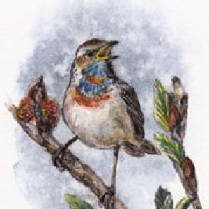 2nd Place Winner! Nov-Dec 2017 Monthly Contest