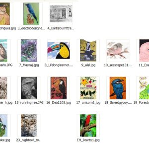 Nov-Dec 2017 Contest Entries