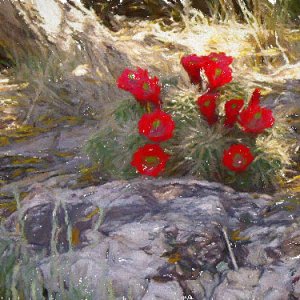 Monthly Contest - Castus