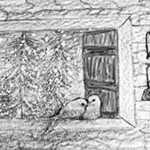 Love Birds - Nov./Dec. 2017 Monthly Contest