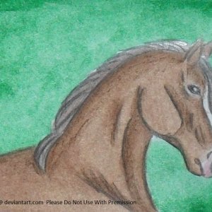 Horse- Favorite Animal Swap