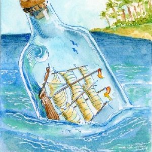 2nd Place Winner! March 2018