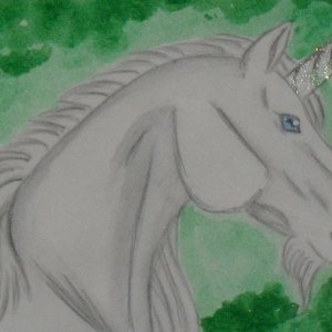 Unicorns:  Unicorn Swap!