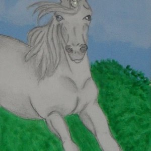 Unicorns: Unicorn Swap!