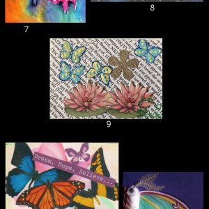April 2018 ATC Contest - Butterflies & Moths