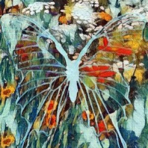 1st Place Winner!  April 2018