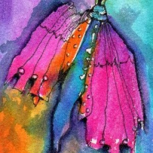 2nd Place Winner! April 2018