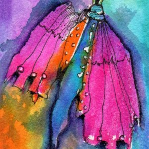 "Pink and Orange Butterfly" April Monthly Contest