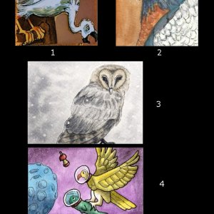 May 2018 ATC Contest~Birds of Prey