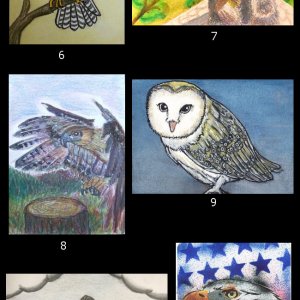 May 2018 ATC Contest~Birds of Prey