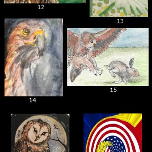 May 2018 ATC Contest~Birds of Prey
