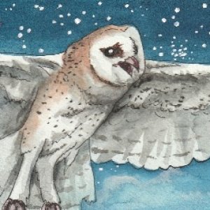 2nd Place Winner! May 2018