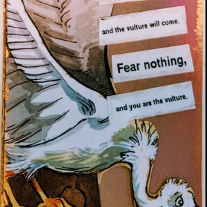 Monthly Contest Entry May 2018 - Vulture