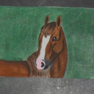 The Mare