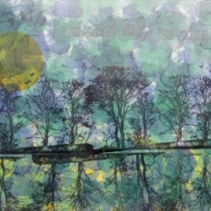 2nd Place Winner! alisl Nov 2018