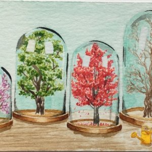 Four Seasons Under Glass