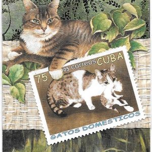 Postage Stamp ATCs Swap - Cats