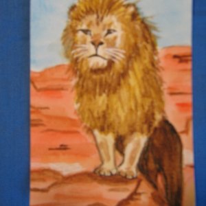 "Aslan" for Dec. PAT, Group 3